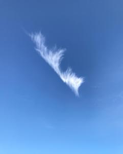 Tom - 01 Cirrus wolk